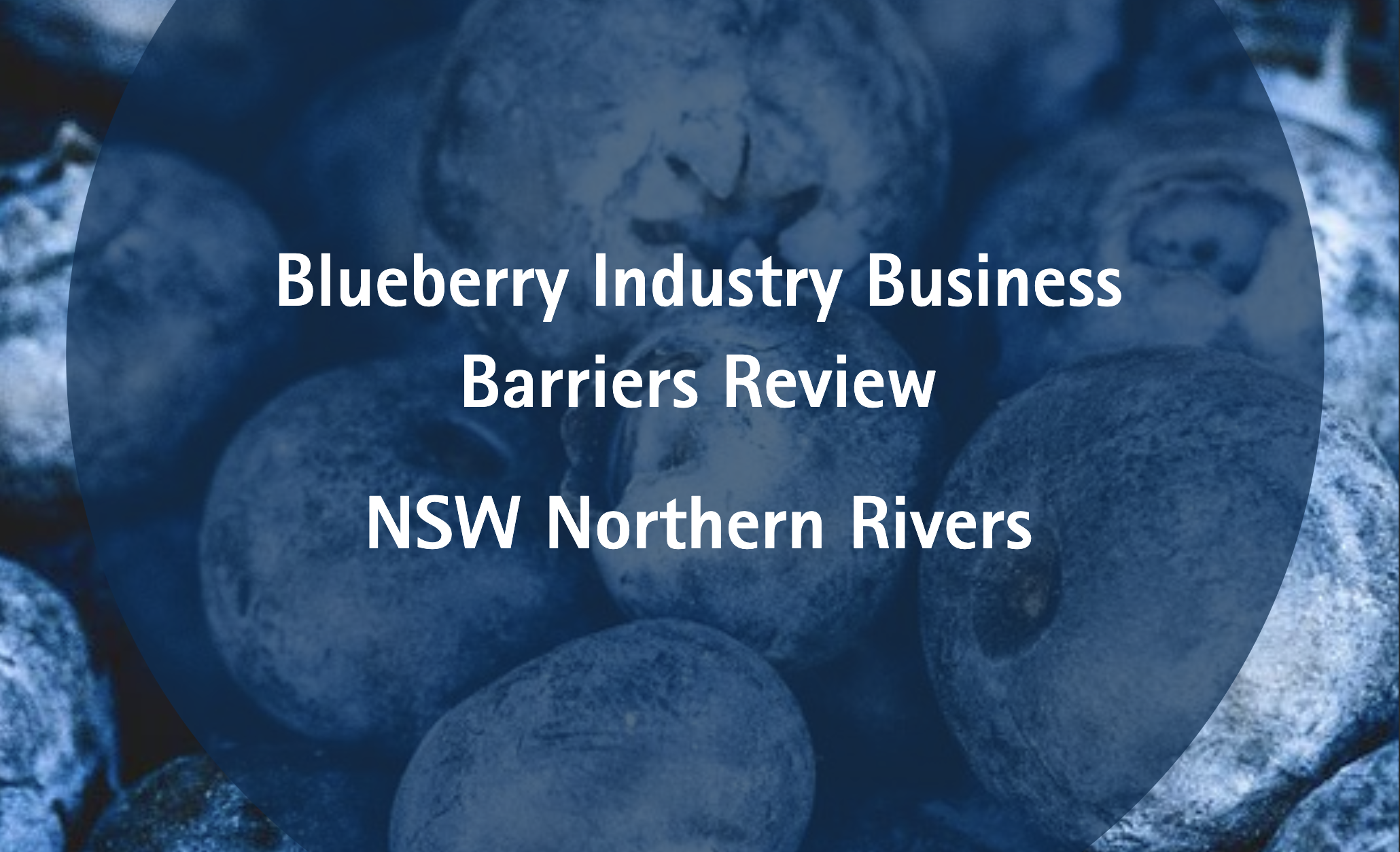 They Knew Years Ago. Government Report Warns: 'Business Risks' From Community Learning Of Blueberry Impacts