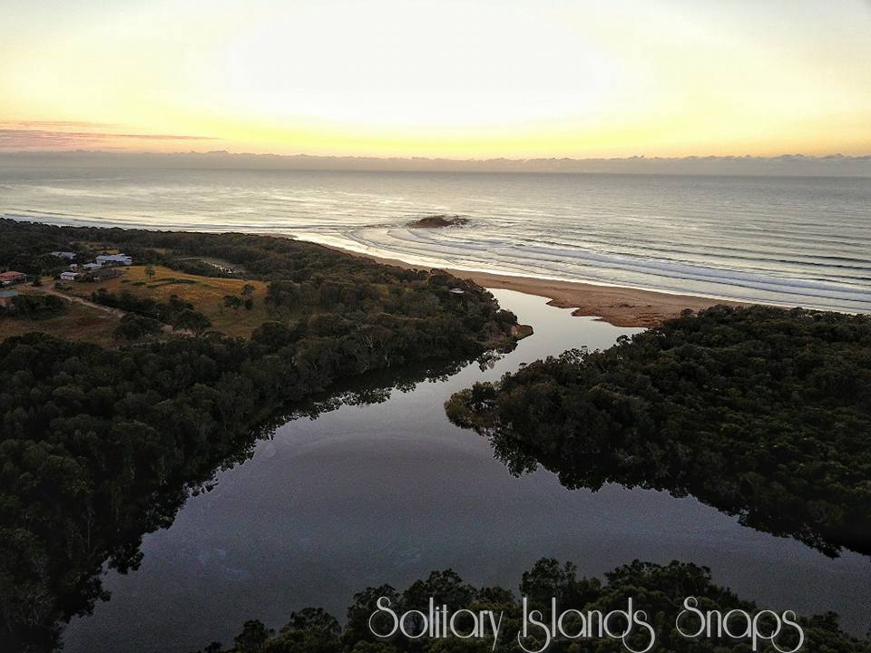 Action: Save Hearnes Lake!