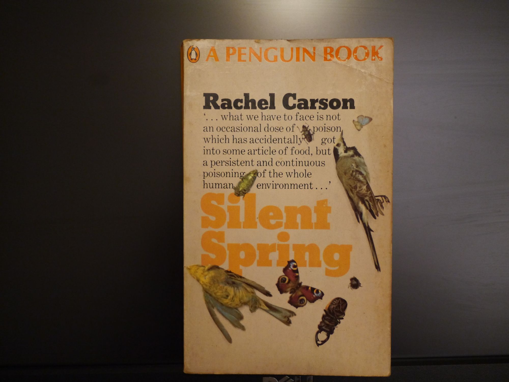 A Silent Coffs Coast?